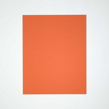 Load image into Gallery viewer, Classic Tangerine Zest Bulletin Board by Special Branch Furniture