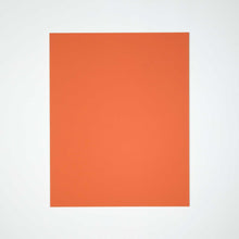 Load image into Gallery viewer, Classic Tangerine Zest Bulletin Board by Special Branch Furniture
